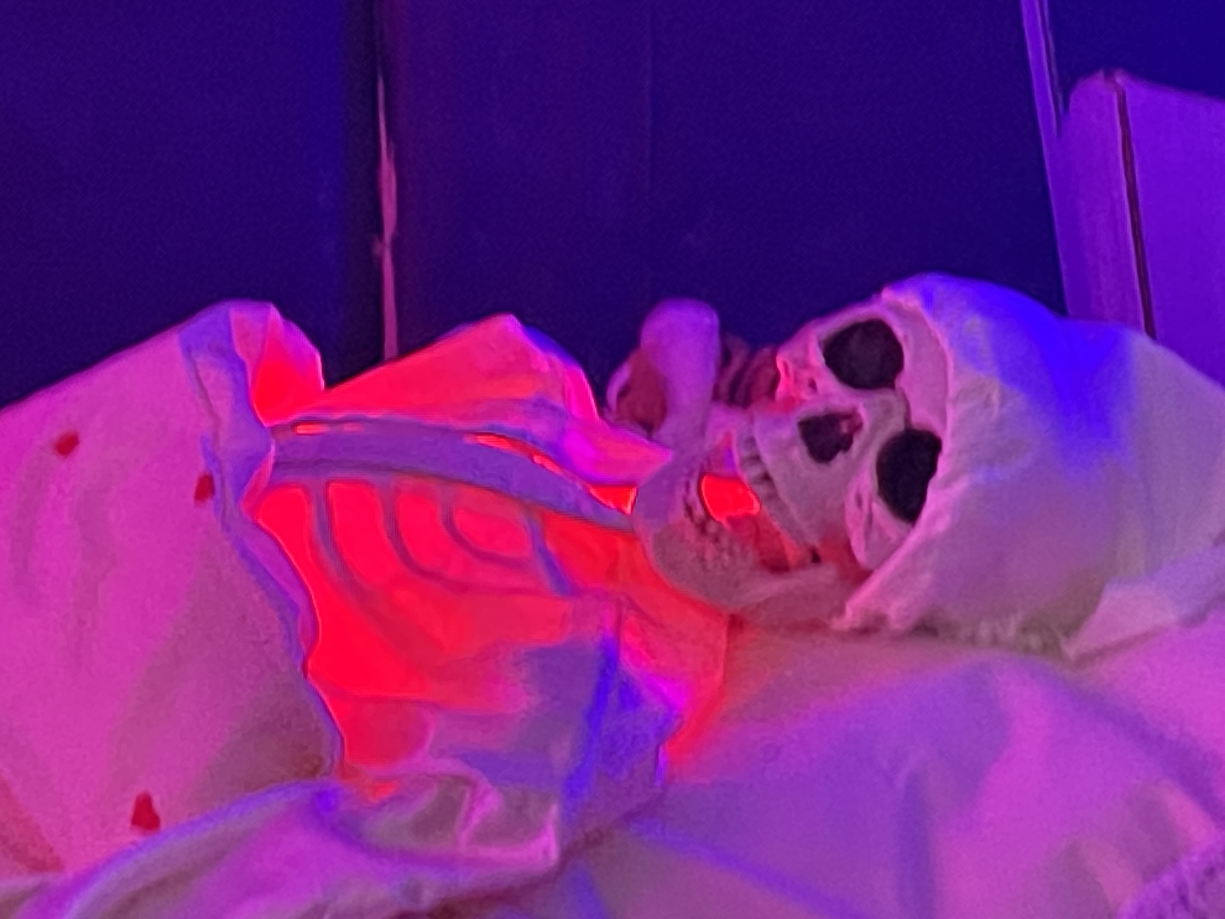 UUUUHHH – KOM TIL HALLOWEEN I EGEDAL CENTRET OG STENLØSE KULTURHUS