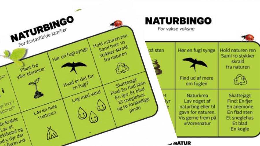 Spil bingo om naturen
